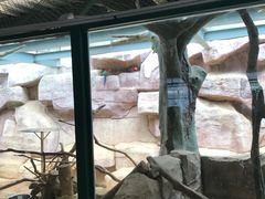 -泉州海丝野生动物世界