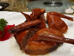 乳鸽-喜月轩