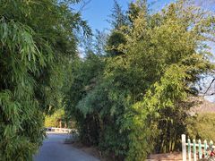 -四门塔风景区