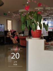 -五洲妇儿医院