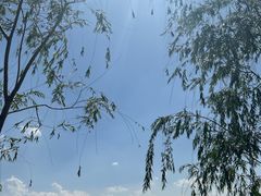 -天津东丽湖风景区