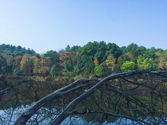 -韶山毛泽东同志故居