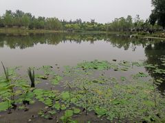 -东郊湿地公园