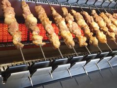 呼伦贝尔羊肉串-很久以前羊肉串(京汉店)