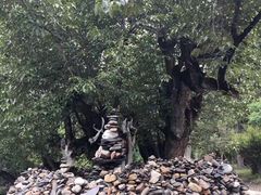 -米堆冰川