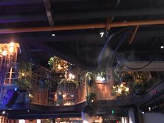 -同仁四季椰子鸡(海岸城天利店)