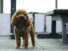 -FIGHTMAN格斗俱乐部(长宁临空店)
