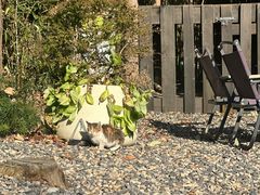 -BUND·FIVE外滩5号(天际店)