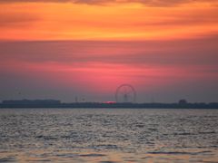 -湖南东洞庭湖国家级自然保护区