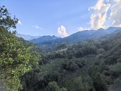 -石台牯牛降景区