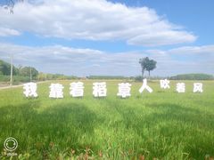 -嘉北郊野公园