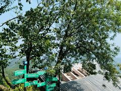 -灵顺寺