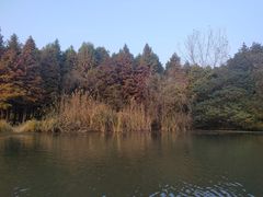 -溱湖国家湿地公园