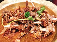 羊蝎子中锅-芦月轩羊蝎子(劲松店)