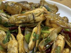蛏子-渔家乐小海鲜(皇姑店)
