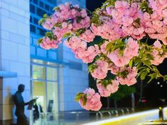 -中粮·祥云小镇