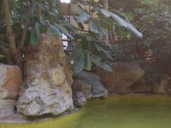 android_upload_pic-金隅凤山酒店