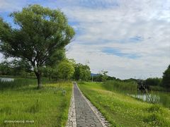 -苏州太湖国家湿地公园