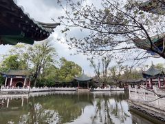-翠湖公园