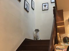 -多卡布奇宠物生活馆(上林世家店)