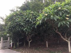 -仙人山公园