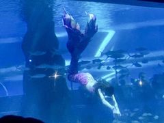 -北戴河圣蓝海洋公园