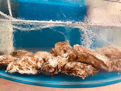 -晓伟海鲜家常菜