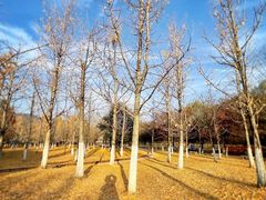 -长兴八都岕景区