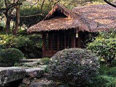 -中国茶叶博物馆(双峰馆区)