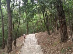 -岳麓山风景名胜区