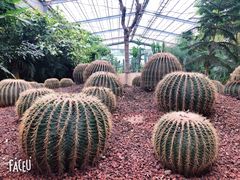 -呀路古热带植物园