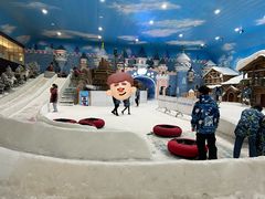 -世界之窗阿尔卑斯冰雪世界