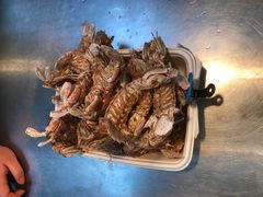 -盒马鲜生(顺义店)