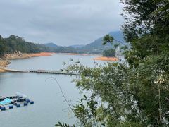 -广州市流溪河国家森林公园