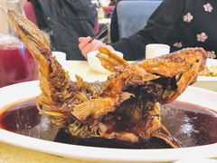 挣蹦鲤鱼-奥华餐厅·老张记(台基厂店)