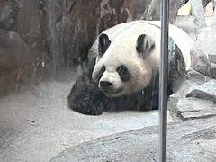 -宁波野生动物园