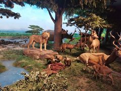 -国家自然博物馆