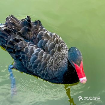 一不小心说了大实话‍♀️...