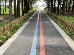 -莲花岛景区