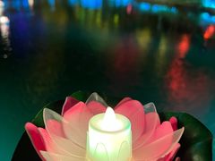 -印象普陀