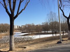 景点-白浮泉公园
