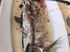 -小北江河鲜(新城店)