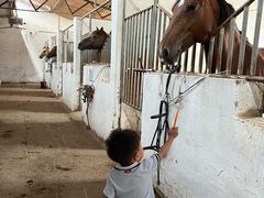 -月河湾马术俱乐部(朝阳店)