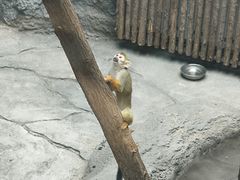 -武汉动物园