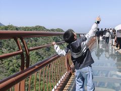 -少华山国家森林公园