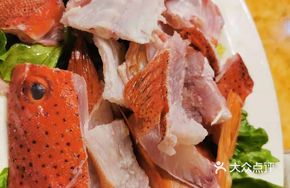 Eastern Star Grouper (Portion)