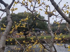 -无锡梅园公园