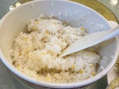 -龙翔山庄雷鸡肉(青城后山泰安古镇店)