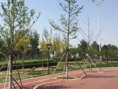 -丁香湖公园