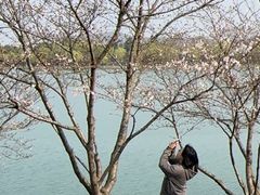 -羊山湖公园